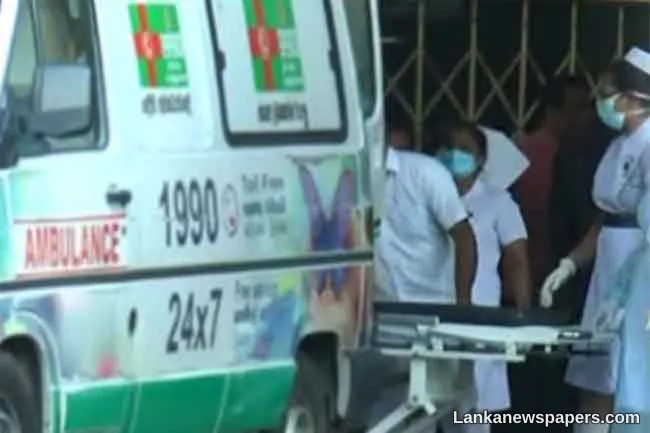 Two including 2-yr-old killed in fatal accident at Dehiattakandiya