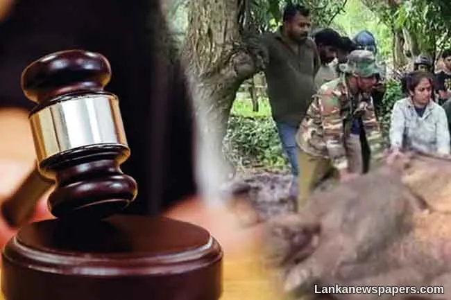 Suspects remanded for setting fire to wild elephant in Mihinthale