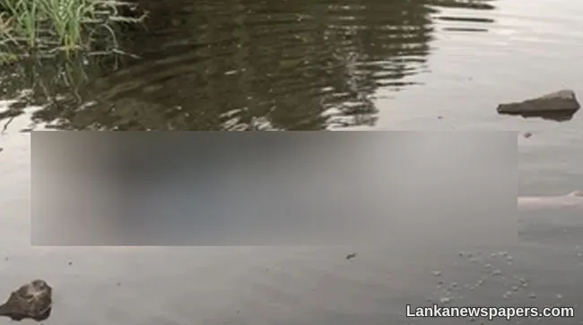 Body of male found in Attanagalu Oya