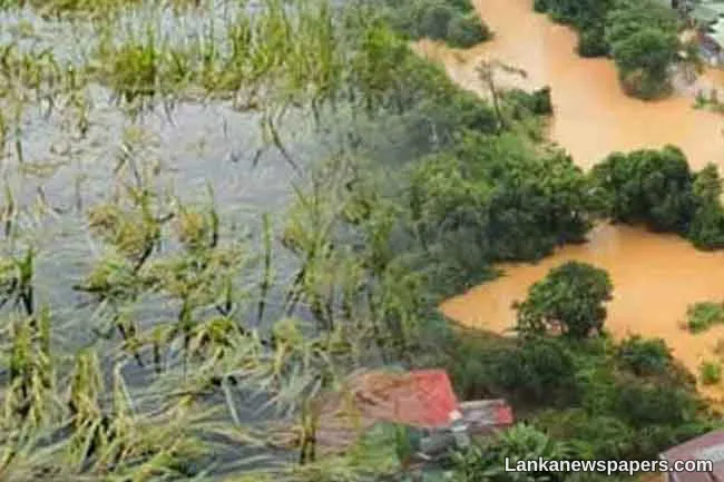 Agriculture Dept. reports on progress of compensation for disaster-affected crops