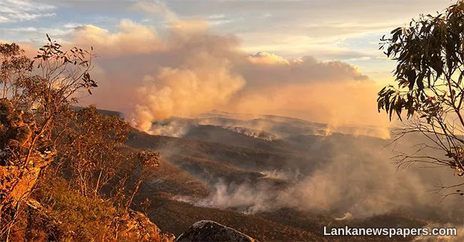 Heatwave hits Australia as officials warn of catastrophic fire risk