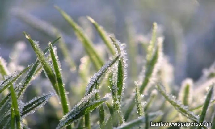 Temperature in Nuwara Eliya drops to 3.5°C