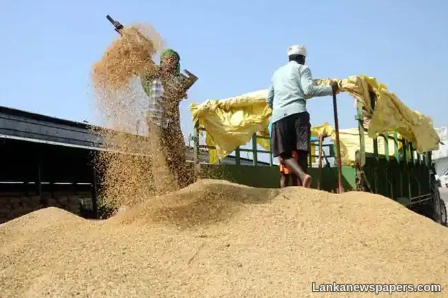 Govt. announces minimum purchase prices for paddy