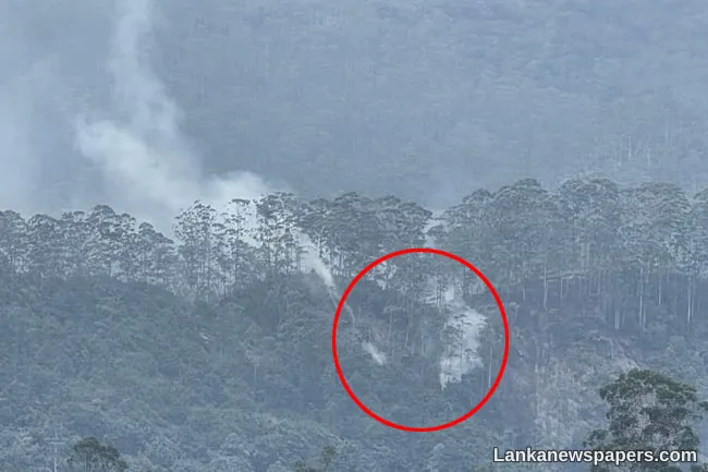 Fire breaks out in Sri Pada Reserve posing threat to biodiversity
