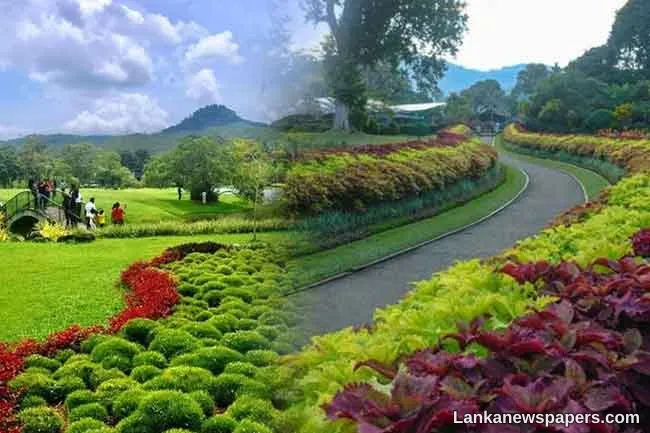 Revenue from Sri Lanka s botanical gardens surpasses Rs. 1 bln in 2025