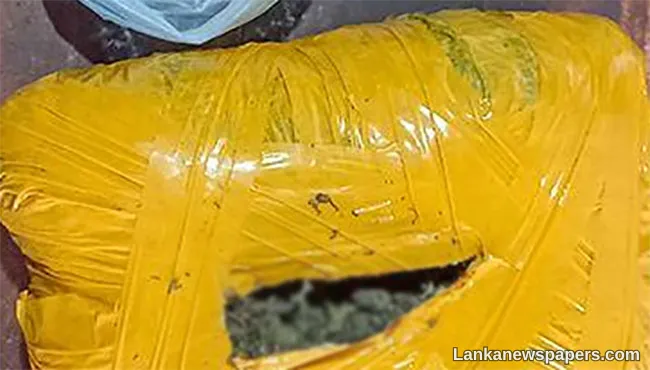 Individual arrested with 2kg of cannabis in Puttalam