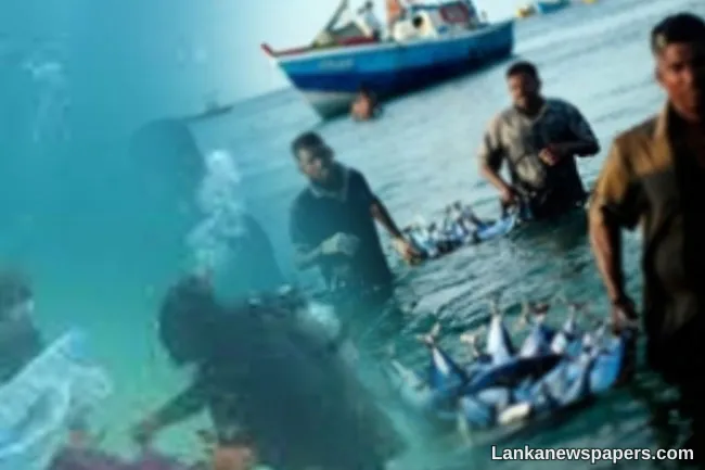 New insurance scheme introduced for fishermen engaged in diving activities