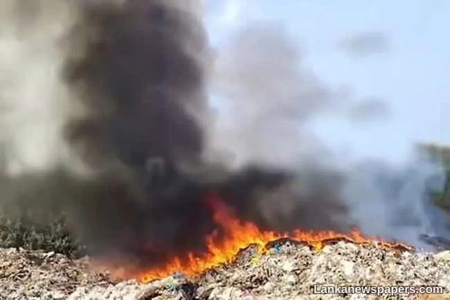 Ministry calls for report to probe environmental impact of Kerawalapitiya garbage dump fire