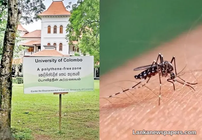 University of Colombo Switches to Online Learning After Dengue Cases Surge on Campus