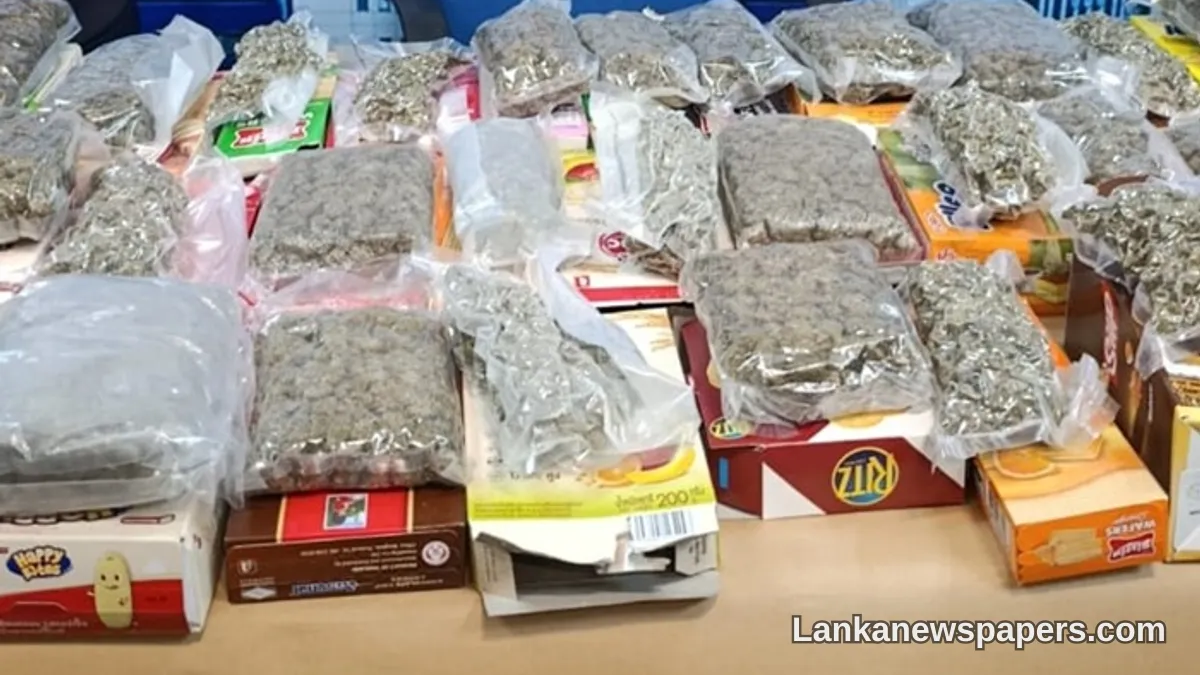 බැංකොක් සිට කිලෝග්‍රෑම් 5කට අධික කුෂ් මත්ද්‍රව්‍ය ජාවාරම් කළ තරුණයෙකු සීමා ප්‍රදේශයේදී අත්අඩංගුවට