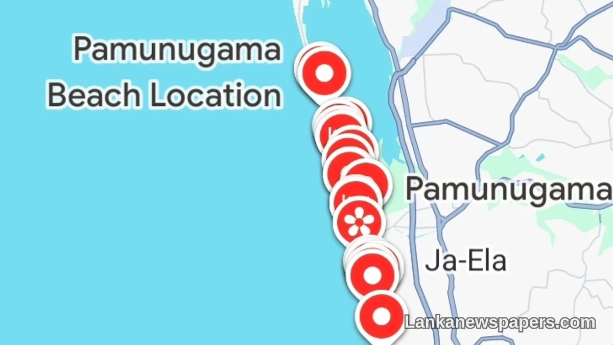 Search Underway After Woman and Three Children Swept Out to Sea Near Pamunugama