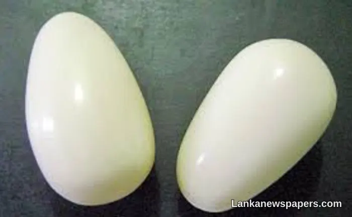 Three Nabbed in Araawa With Elephant Pearls Valued at Rs. 20 Million