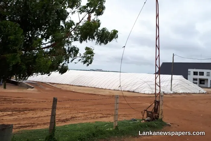 Lanka Salt Company General Manager Taken Into Custody by Bribery Commission
