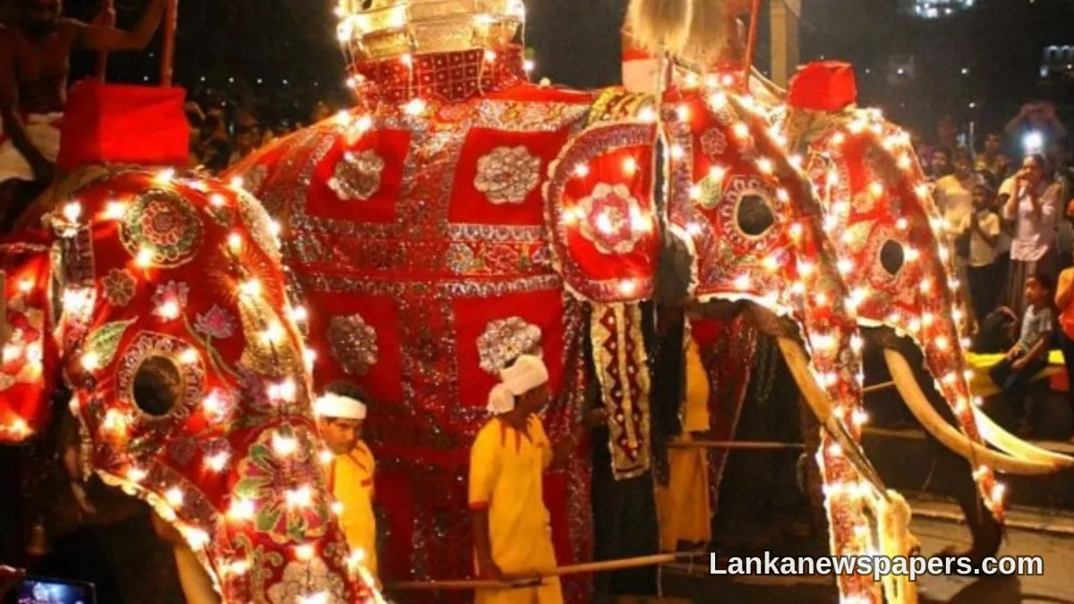 Laser Beams at Perahera Elephants Will Lead to Immediate Arrest, Police Warn
