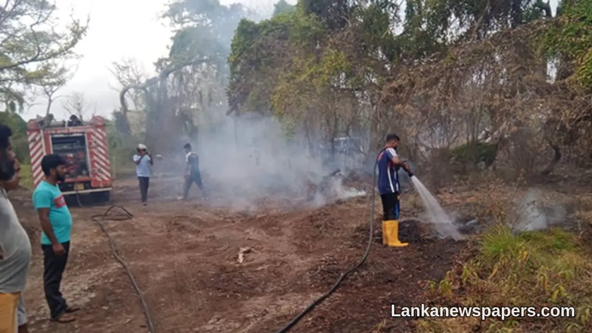 අනවිලුන්ඩාව රාම්සාර් අභයභූමිය බේරා ගැනීමේ සටන — ගිනි නිවීමේ මෙහෙයුම් අඛණ්ඩව ක්‍රියාත්මකයි