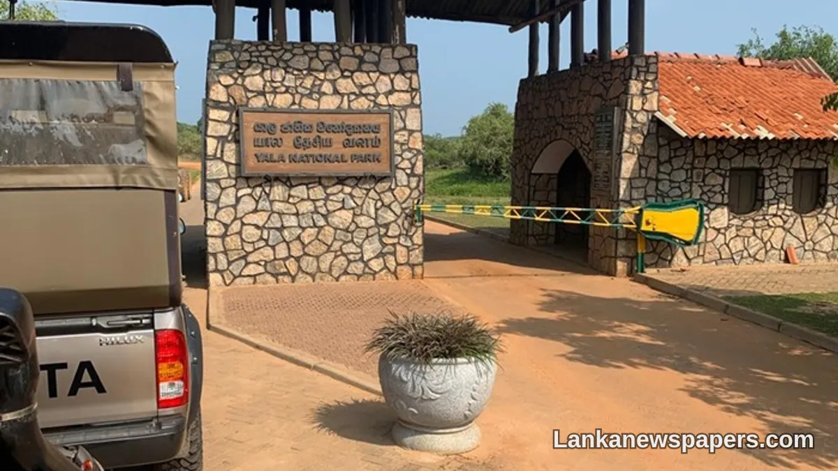 යාල ජාතික උද්‍යානයේ වඩාත් ජනප්‍රිය කලාප අද සිට සංචාරකයින්ට වසා දමයි