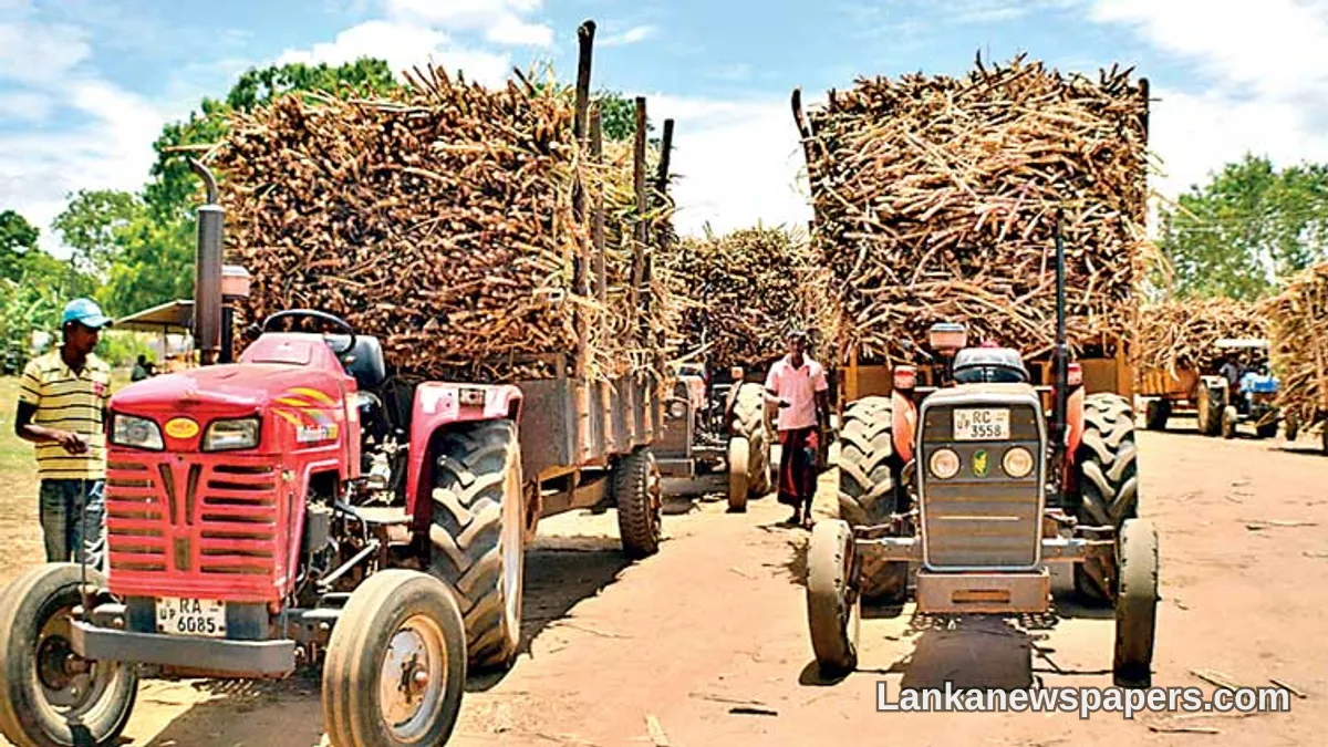 සේවනාගල සීනි කර්මාන්තශාලාව කම්කරු ආරවුල උත්සන්න වීම හේතුවෙන් අනිශ්චිත කාලයක් සඳහා මෙහෙයුම් අත්හිටුවයි