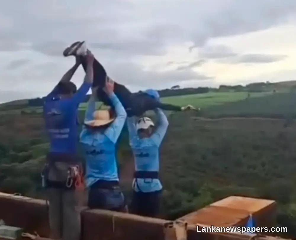 Brazilian Woman Dies in Fatal Bungee Jump After Staff Allegedly Forget to Attach Safety Cord