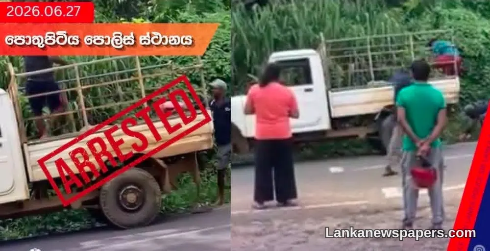Two Suspects Arrested and Released on Bail Following Viral Dog Killing Video
