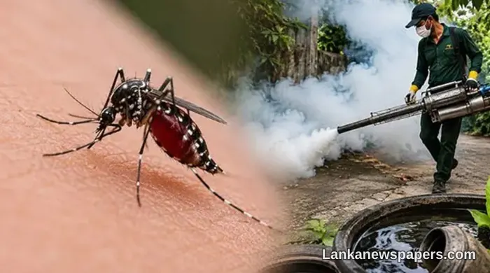 Sri Lanka's Dengue Crisis Deepens as Cases Surpass 56,000 and Death Toll Reaches 35