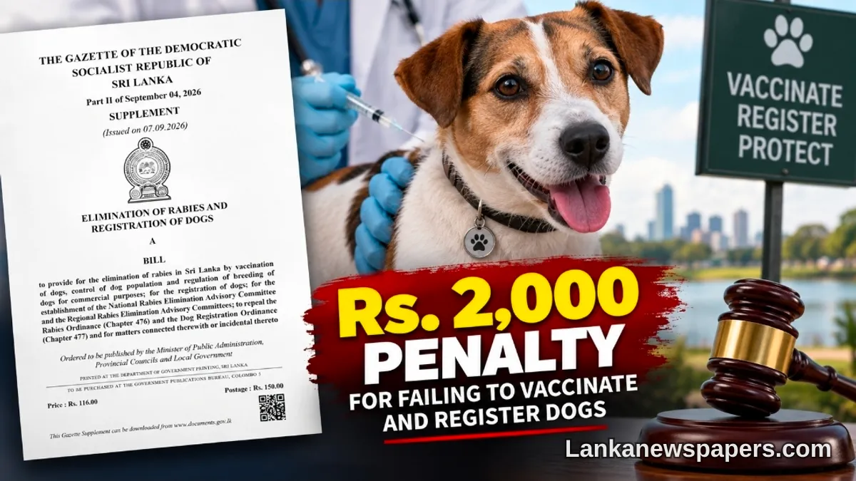 ශ්‍රී ලංකාවේ නව සුනඛ හිමිකාරිත්ව පනත: එන්නත් කරන්න, ලියාපදිංචි කරන්න, නැතිනම් රු. 2,000 දඩයකට මුහුණ දෙන්න
