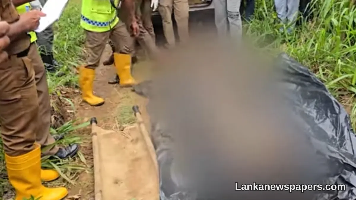 Body of Young Man Who Plunged From Mini World's End Recovered