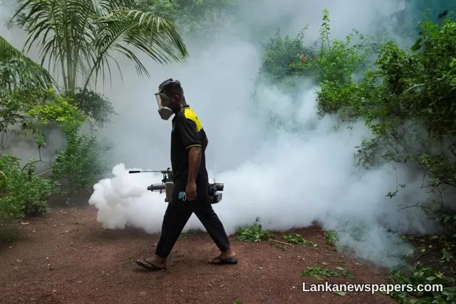 Sri Lanka's Dengue Crisis Deepens: Over 67,000 Cases and 47 Deaths Recorded