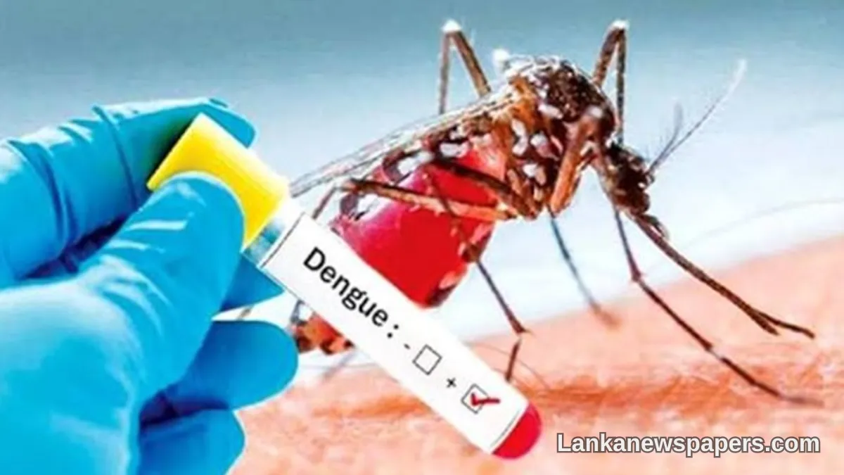 Sri Lanka's Dengue Crisis Deepens as Case Count Approaches 91,000