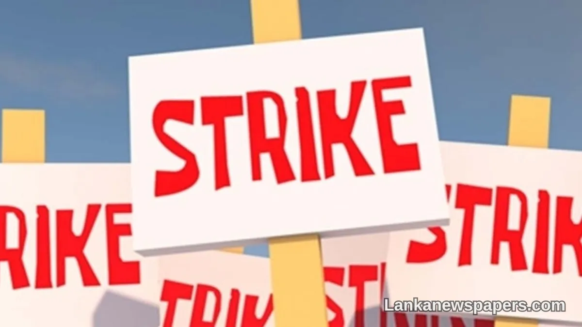 University Lecturers Set to Walk Out Tomorrow in One-Day Strike, FUTA Announces