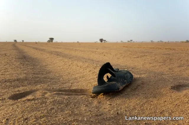 49 Migrants Perish in Niger's Sahara Desert After Lorry Breakdown Leaves Them Stranded Without Water