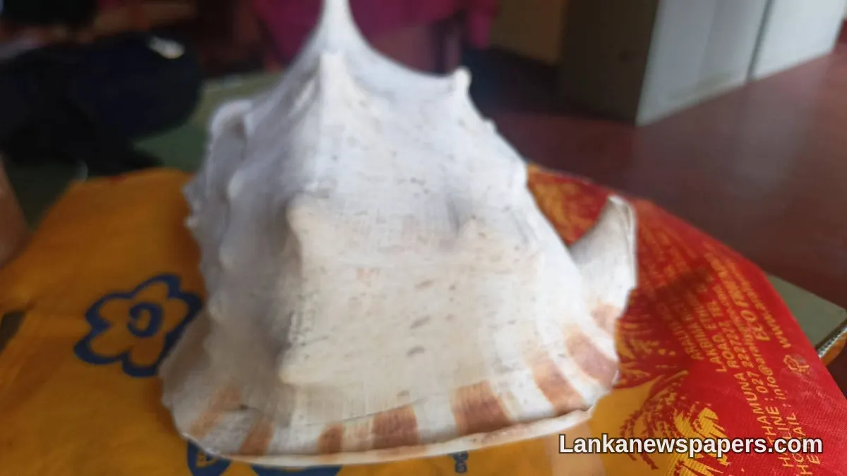 Man Arrested After Attempting to Sell Protected Sea Snail Shell for Rs. 500,000 via Facebook