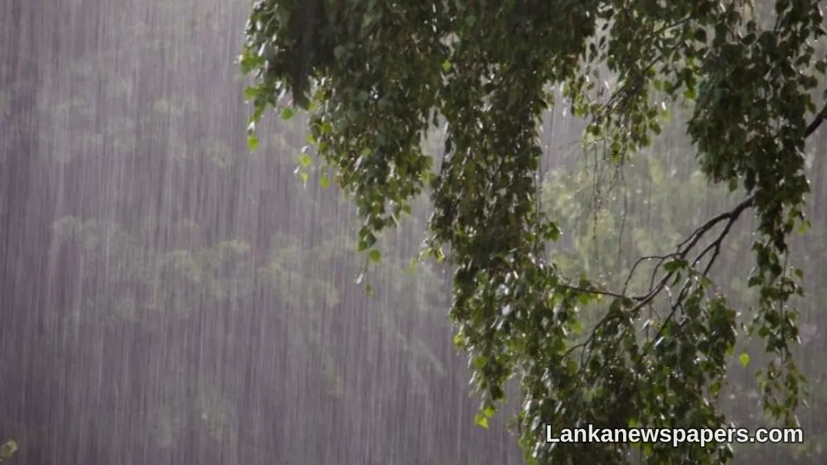 අද පළාත් කිහිපයක වැසි අපේක්ෂා කෙරේ
