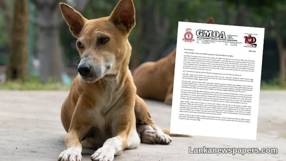 GMOA Sounds Alarm Over Proposed Overhaul of Dog Vaccination Laws
