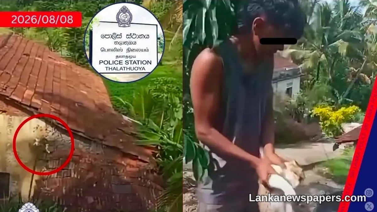 Two Arrested Over Viral Cat Abuse Video That Shocked Sri Lanka