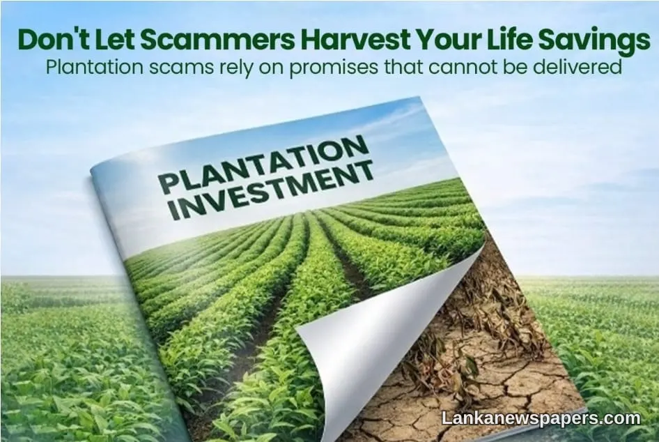 Central Bank Sounds Alarm Over Illegal Deposit Schemes by Plantation Companies