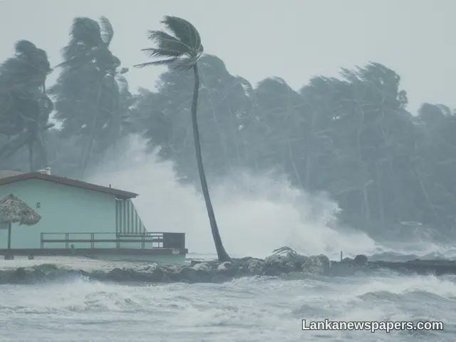 Met Department Warns of Strong Winds and Rough Seas Off Southern and Western Coasts