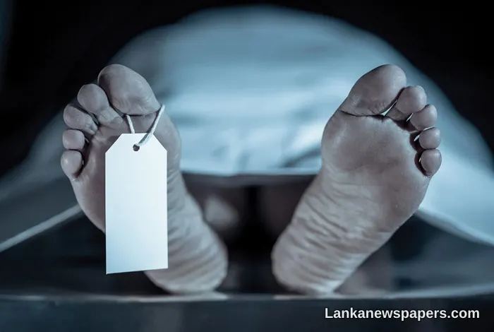 ලග්ගල කිවුල්වැදිය ප්‍රදේශයේ වල් අලි ප්‍රහාරයකින් කාන්තාවකට මරු