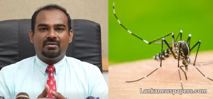 GMOA Sounds Alarm Over Worsening Dengue Crisis as Daily Cases Approach 1,500