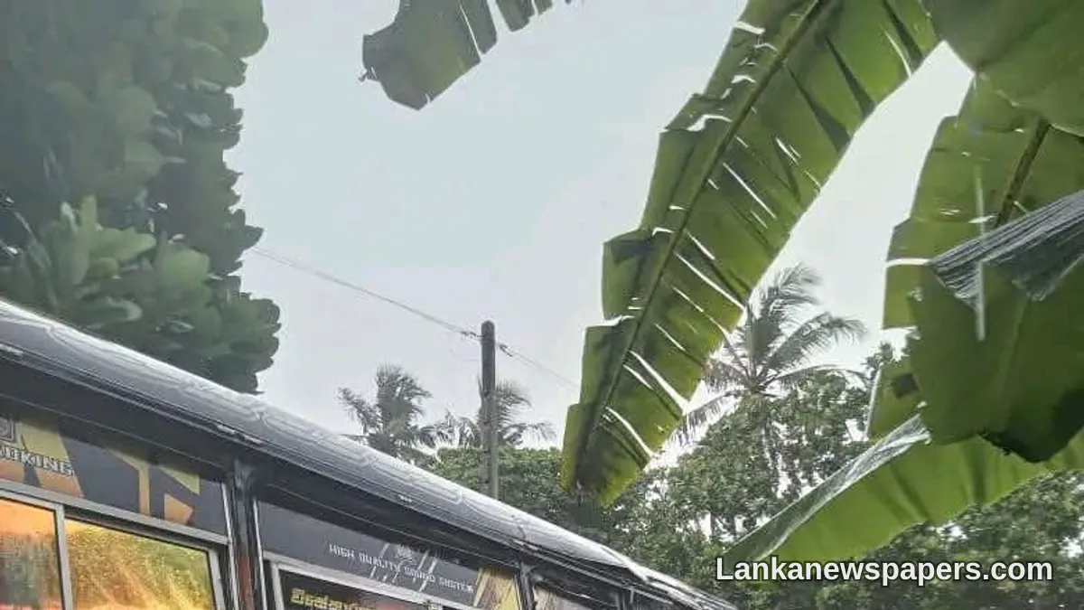 Six Hurt in Bus-Train Collision at Habaraduwa Level Crossing