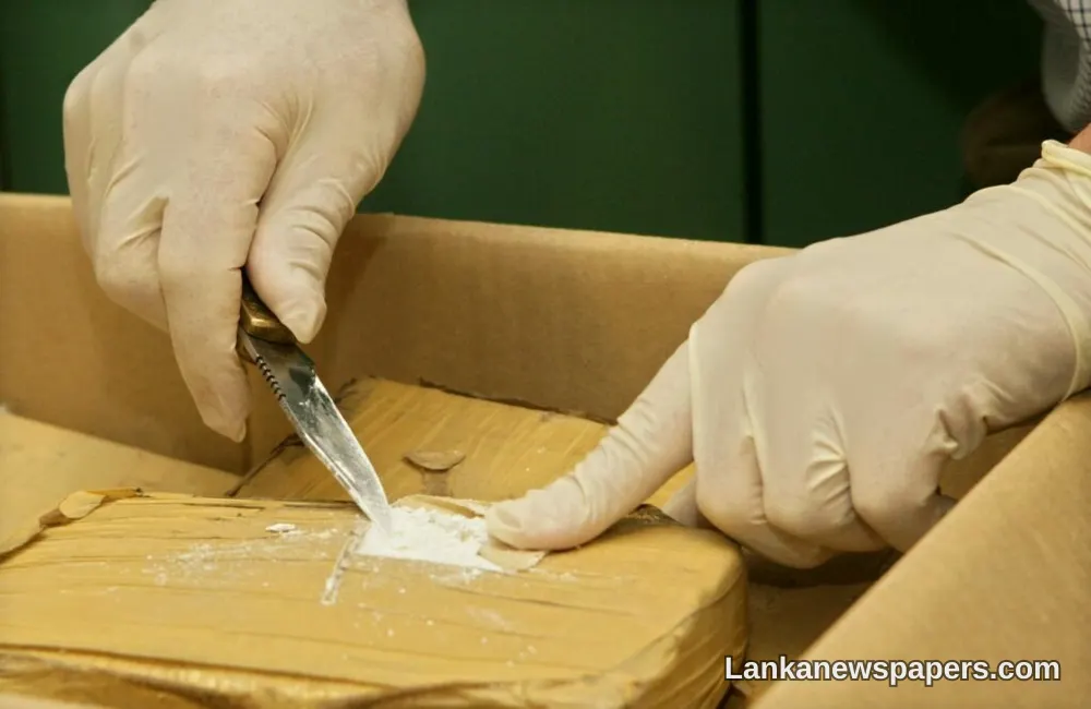 Sri Lanka Customs Raises Alarm Over Surge in Drug Smuggling Via International Mail
