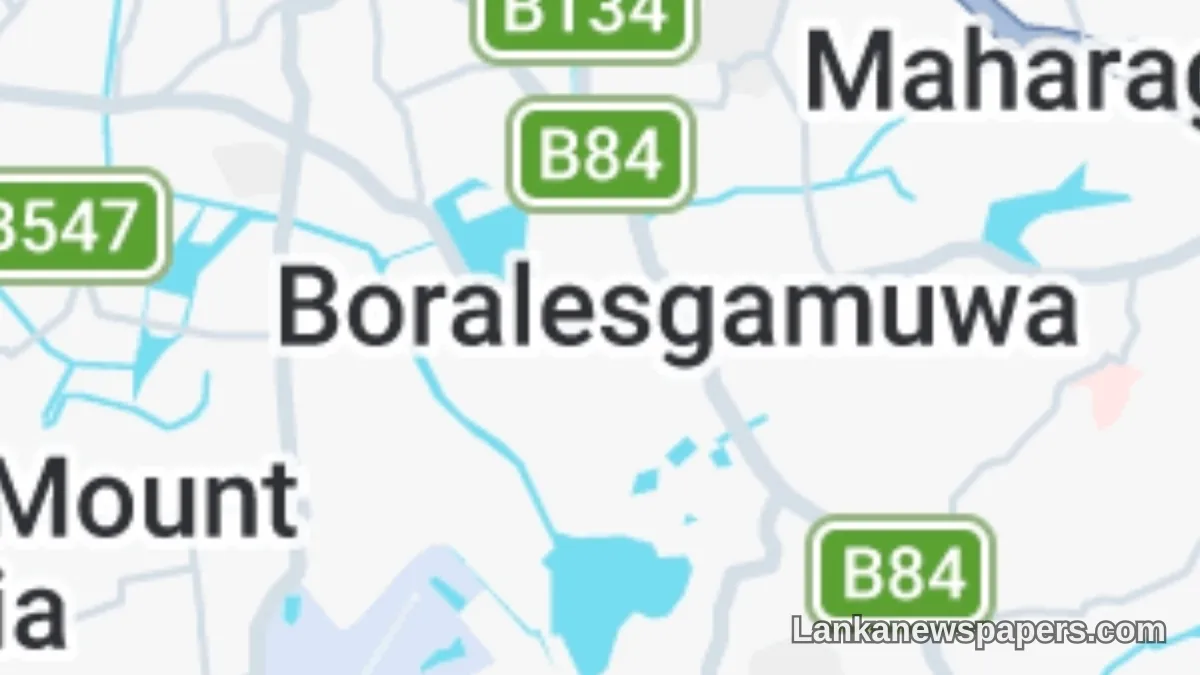 Man Shot Dead in Boralesgamuwa in Targeted Attack