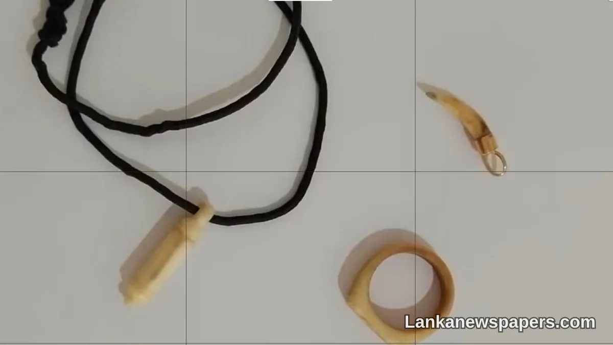 අන්තර්ජාලයේ සලකුණු කළ චිරුතා දත් එල්ලුමක් හා අලි දළ භාණ්ඩ සම්බන්ධයෙන් වනජීවී නිලධාරීන් සැකකරුවෙකු අත්අඩංගුවට ගනී