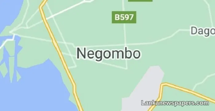 Negombo Drug Bust: Rs. 48.3 Million Worth of Illegally Smuggled Medicines Seized