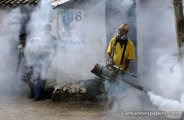 Sri Lanka's Dengue Crisis Deepens in 2026 as Cases Exceed 81,000 with 61 Lives Lost
