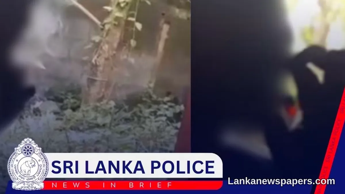 වයස අවුරුදු 11 දරුවෙකු මත්ද්‍රව්‍ය භාවිත කරන බවට චෝදනා එල්ල වූ වීඩියෝවක් වෛරස් වීමත් සමඟ ශ්‍රී ලංකා පොලීසිය පරීක්ෂණයක් ආරම්භ කරයි