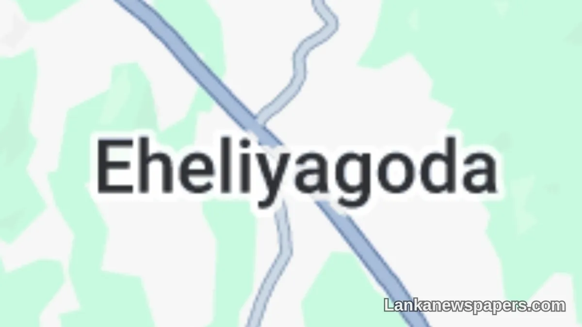 Teenager Stabbed to Death in Eheliyagoda After Dispute Over Mobile Phone Video