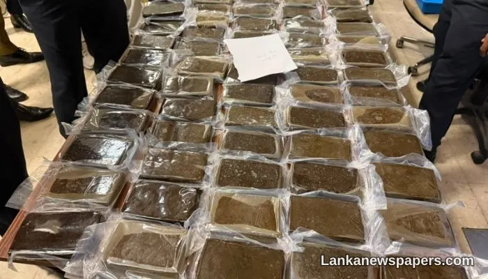 රුපියල් මිලියන 376කට අධික හෂීෂ් ජාවාරමේ යෙදුණු ඩොමිනිකන් සිසුවෙකු කොළඹ ගුවන්තොටුපළේදී අත්අඩංගුවට