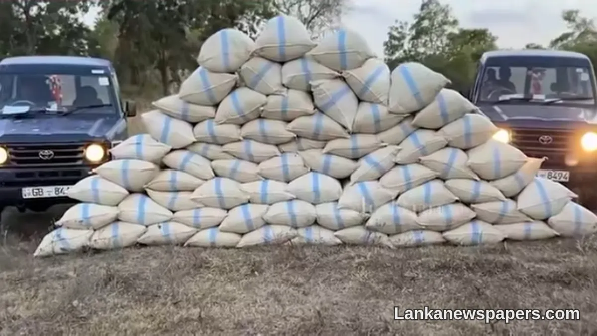 මොණරාගල මත්ද්‍රව්‍ය වැටලීම: කිලෝ 1,044කට අධික කංසා හා පැළ 54,000කට ත්‍රස්ත දෙදෙනෙකු අත්අඩංගුවට