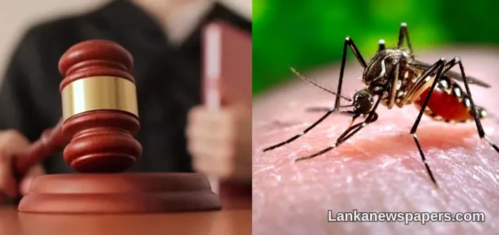 Nugegoda Court Sets Record With Rs. 2.1 Million in Dengue Fines Handed Down in a Single Day