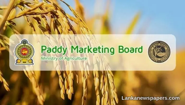 Government Sets Guaranteed Paddy Purchase Prices Ahead of 2026 Yala Season